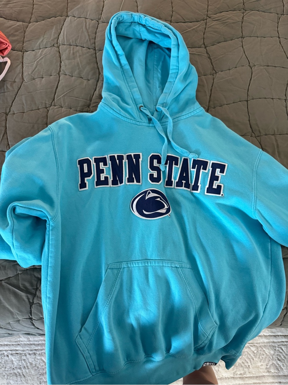Penn State Embroidered Hooded Sweatshirt in Light Blue